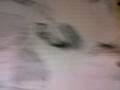 videos de my dope drawing