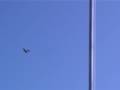 Inverted hovering with DA 100 VPP (flying giants)