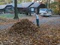 Boy Jumps into Leaf Pile Boy Jumps into Leaf Pile