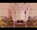 okaoko_LAB okaoko_LAB