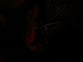 Kenny Video 2 of 2 I'v been poisoned!!!