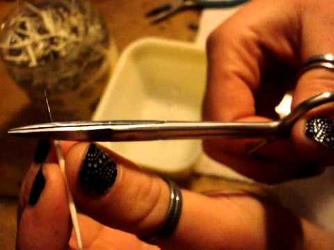 how to harvest porcupine quills