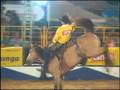 CLIP DO RODEIO DE CERQUILHO 2008
