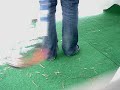 Zorro Tricks Guiden