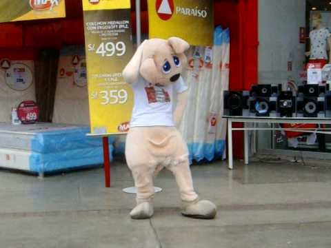canguro - 