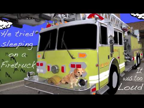 needs a nap - The second story in the Cubby series. This cute and original story is geared for toddlers and lovers of cuteness. You can reach the creators of the music, st...