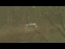 WALES RALLY GB. PETTER SOLBERG SUBARU IMPREZA WRC WALES RALLY GB. PETTER SOLBERG SUBARU IMPREZA WRC