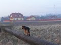 Parys! W tył na lewo!