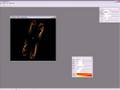 Fractal Images Tutorial