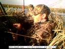 Dunaway, How does it feel to shoot a duck?