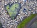 Healing the Hearts of Humanity 2009