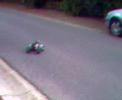 wheelie king 4x4 extreme donut