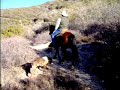 More of Dan and Tango on the PCT II