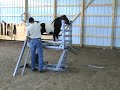 Miniature Horse Lift - Small Farm Animal Lift Table - Miniature Horse For Sale Miniature Horse Lift - Small Farm Animal Lift Table - Miniature Horse For Sale