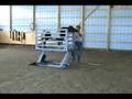 YouTube - Miniature Horse Lift - Small Farm Animal Lift Table ...
