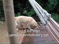 Mr Woofy hates the rain