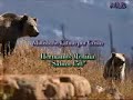  SALMO 150 DIOS ADORAR ADORACION JESUS SANTOESPIRITU BIBLIA