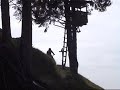 taser freeride taser freeride