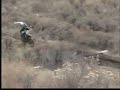 Rmz 250 Hill climb #2