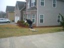 PJ Falling PJ Falling