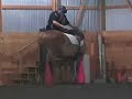 Adaptive Mounting and Dismounting
