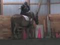 Adaptive Mounting and Dismounting
