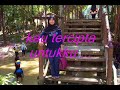 ungu- tercipta untukku selamanya.... ungu- tercipta untukku selamanya....