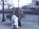 Chicago Bears Free Hugs (Music by ...
