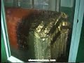 Tomb of Jesus - Kashmir, India