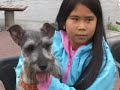See video