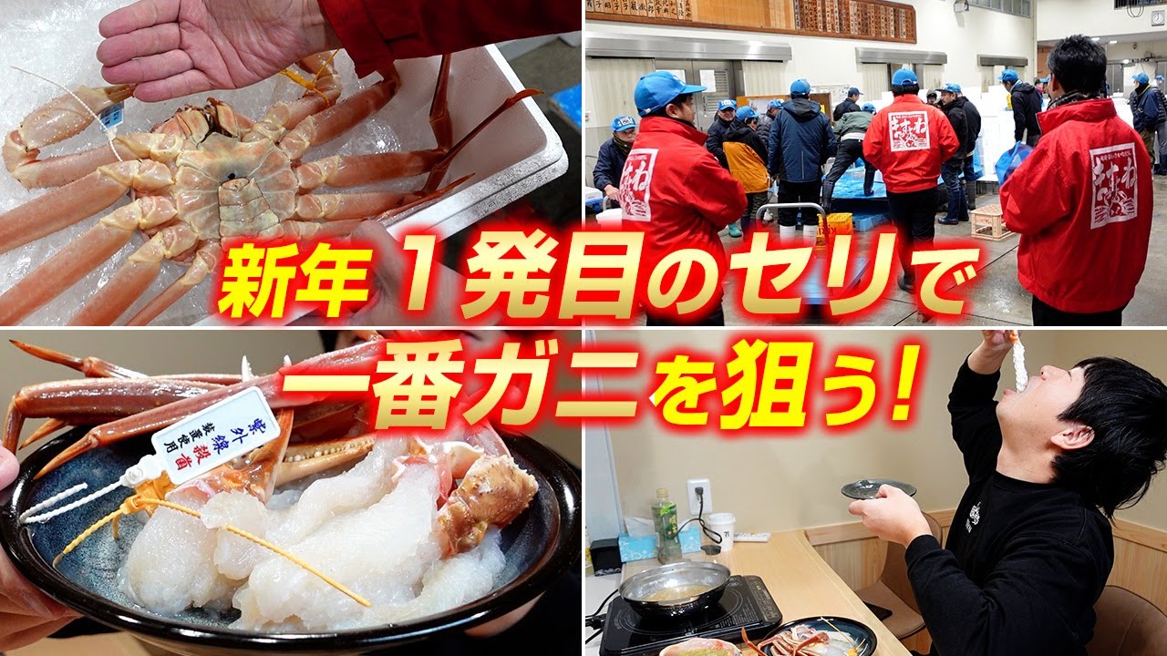 新年景気付けに超特大越前ガニをかにしゃぶでいただいてみた！