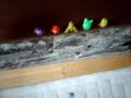 Gogos Crazy Bones Crash Down Game