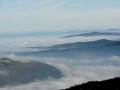 Niebla