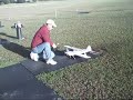 38Special Control Line Bi-Plane