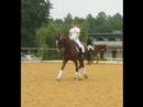 Halte, mon cheval Halte, mon cheval
