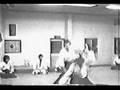 steven sigal en aikido