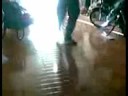 ellos bailan electro  remix quebuenbaile 