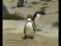 videos de Friday_vs_Monday.wm