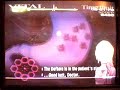 Operation 6-7: Fallen Heroes XS