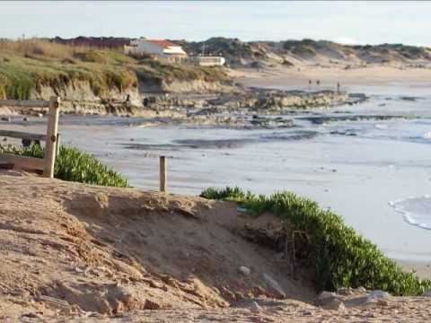 Wideo Bsurf House