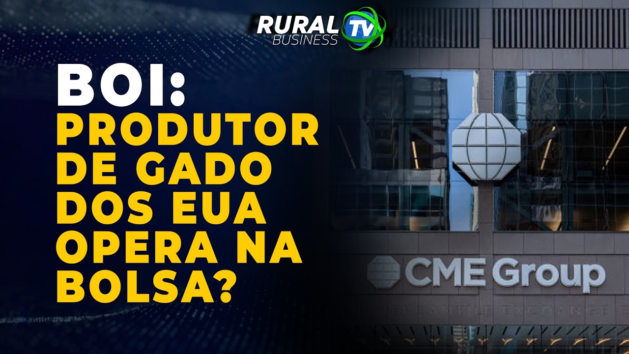 BOI: PRODUTOR DE GADO DOS EUA OPERA NA BOLSA?