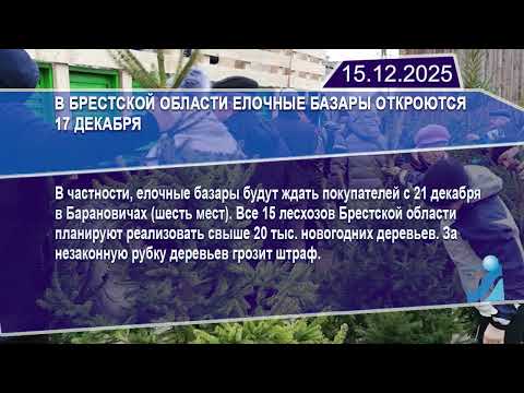 Новостная лента Телеканала Интекс 15.12.25.