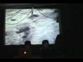 Muelle - Low-fi.mono Ft Catalina Salazar. Visual: TXT