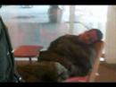 Taking a break @ Devry Taking a break @ Devry