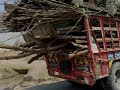 sindhi song shahdadkot golo wah