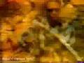 Bone Thugs N Harmony - Thuggish Ruggish Bone