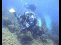 Inmersión Isla de Escombreras