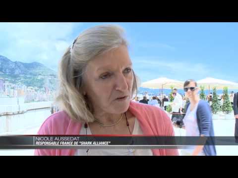 Colloque : les relations entre l'homme et le requin