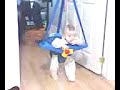 Jolly Jumper