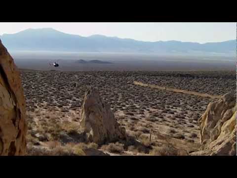 horses grand national horses grand national